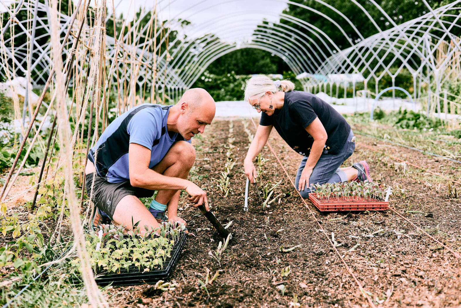 Lush Greens, Bristol