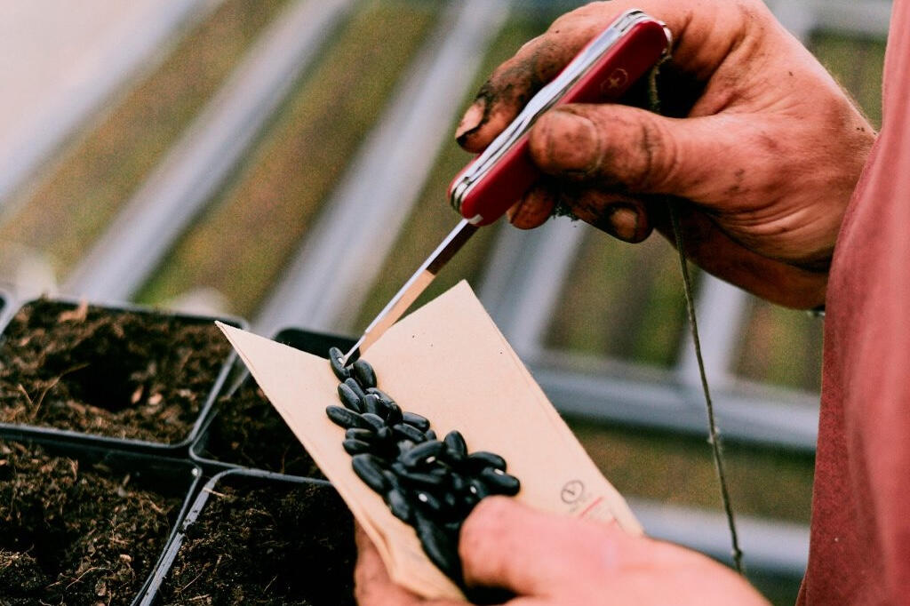 Lush Greens, Bristol