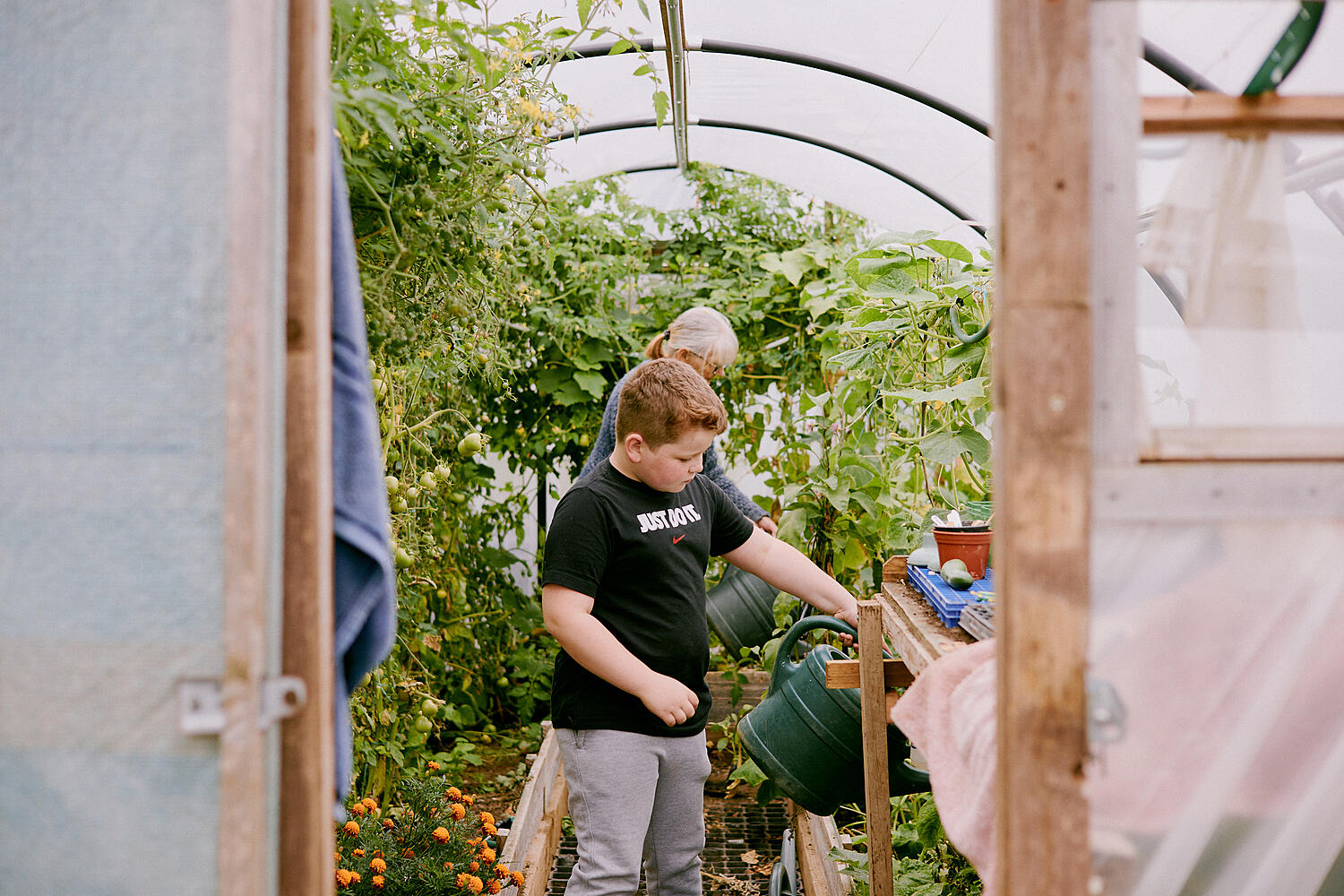 Willoughby Road Allotments, Boston