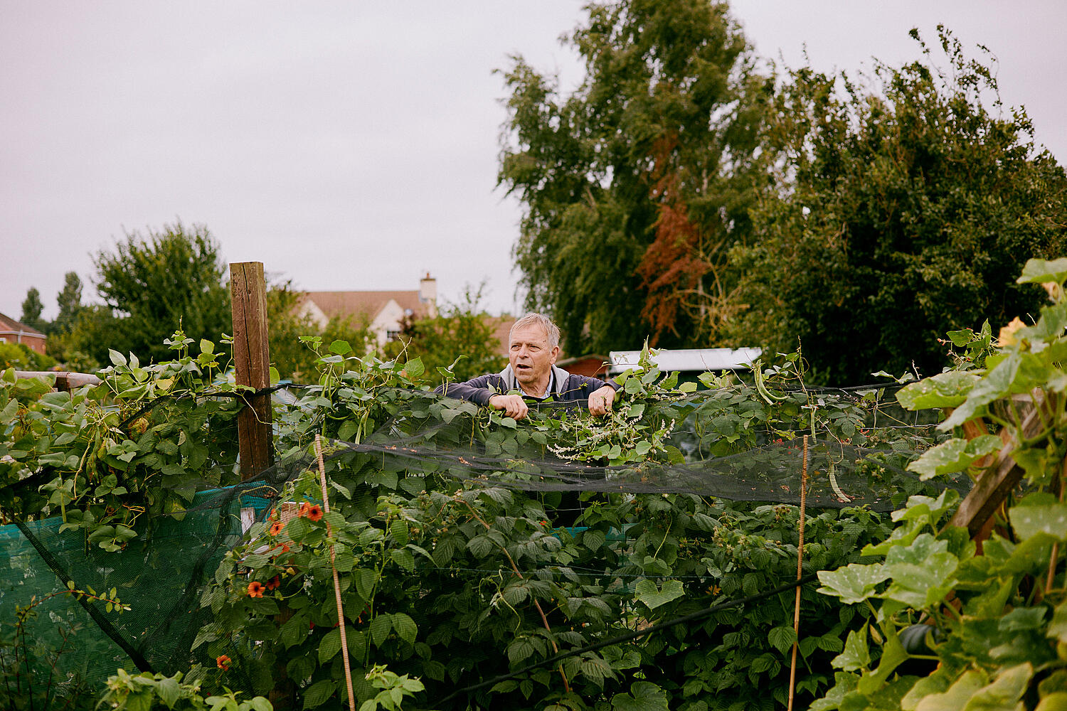 Willoughby Road Allotments, Boston
