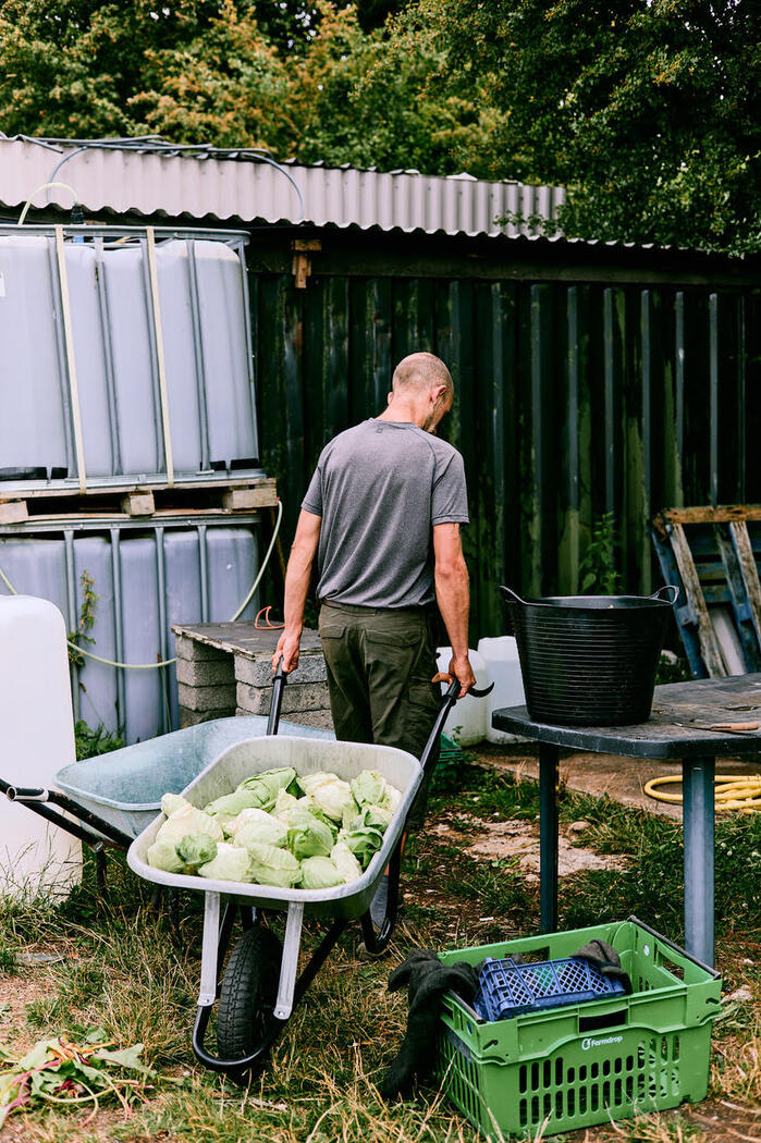 Lush Greens, Bristol